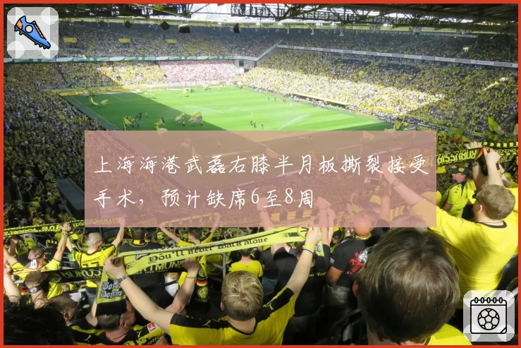 上海海港武磊右膝半月板撕裂接受手术,预计缺席6至8周
